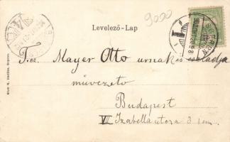 Sopron, Széchenyi-szobor; Blum N. kiadása, floral litho