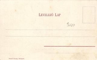 Szentendre, Dumtsa Jenő utca; Divald Károly