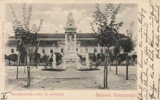 Esztergom, Szentháromság szobor és városháza; kiadja Kardos Dezső