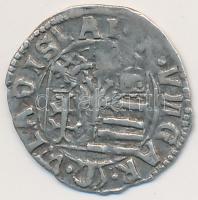 1498-1503. Denár "II. Ulászló" fordított "N" betűs verőtő variáns T:2,2-
Huszár ...