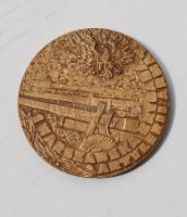 Lengyelország modern nagy Br plakett "Nagy J. Bem" HUNGARIKA!. Szign:J.Misztela T:2