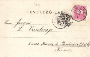 1899 Devecser; Rosenberg Zsigmond kiadása, litho (EB)