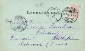 1899 Hortobágy, litho