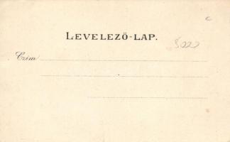 Sopron, Oedenburg; Városháza, Ludwig Kummert kiadása, litho