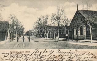 Dunaharaszti, Kossuth Lajos utca