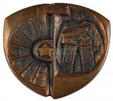 ~1965. Munkásőr Br plakett dísztokban szignó: RP T:1