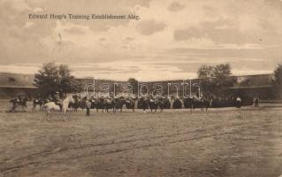 Dunakeszi-Alag Edward Hesp's Trainig Establishment / Hesp-féle tréningtelep (Rb)