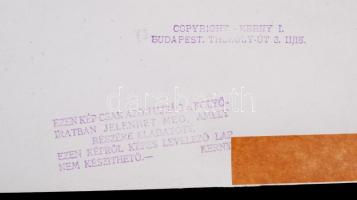 1931 Kerny István (1879-1963): Mangalicák Seregélyesen. Vintage fotó, hátoldalán szerzői pecséttel j...