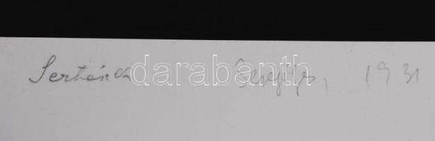 1931 Kerny István (1879-1963): Mangalicák Seregélyesen. Vintage fotó, hátoldalán szerzői pecséttel j...