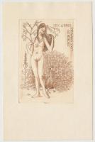 Stephanus Szigeti jelzéssel (1975): Sex libris. Rézkarc, 10x15 cm.