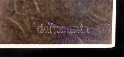 1910-1920 Kerny István (1879-1963): Vaskapu csatorna. Vintage fotó, a jobb alsó sarokban és a hátold...