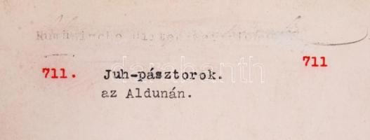 1910-1920 Kerny István (1879-1963): Pásztorok az Al-Dunán. Vintage fotó, hátoldalán feliratozott, a ...