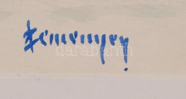 Szemenyey Ferenc (1894-1990): Visegrád. Akvarell, papír, jelzett, üvegezett keretben, 34×46 cm