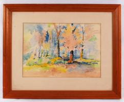 Szemenyey Ferenc (1894-1990): Erdőszél. Akvarell, papír, jelzett, üvegezett keretben, 33×47 cm