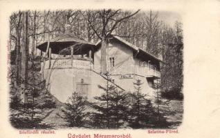 Szlatinafüred, Sósfürdő, Felix villa