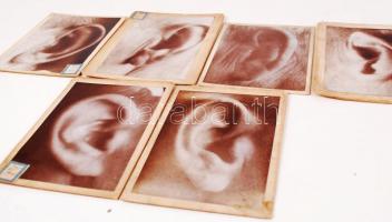 cca 1900-1911 51 db klf fotó a büntetés végrehajtási intézetek rabjainak tetoválásairól /
51 photos ...