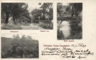 Tamási, vadaskert, Miklós vár, erdő