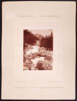 cca 1880 Divald Károly: A magas Tátrából - Aus der hohen Tátra: Tarpatak vízesés / Divald: The High-...