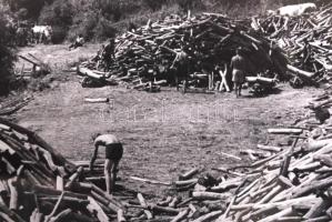 1930-1935 Kinszki Imre (1901-1945): Fatelep. Vintage fotó, hátoldalán szerzői pecséttel jelzett / 
I...