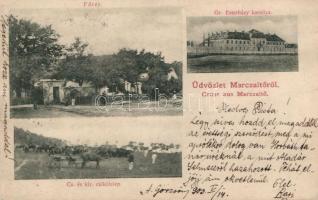 Marcaltő, Főtér, Esterházy kastély, csikótelep (r)