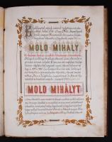 VÉDETT! 1885 Címeres nemesi kiváltságlevél Mold Mihály V. huszárezredbeli főhadnagynak a "mezőb...