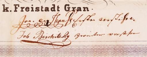 1861 A kőszegi kereskedőcéh oklevele kereskedősegéd részére. Szakadásokkal / 
1861 Warrant of the gu...