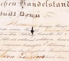 1861 A kőszegi kereskedőcéh oklevele kereskedősegéd részére. Szakadásokkal / 
1861 Warrant of the gu...