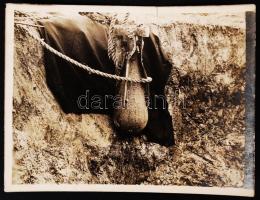 cca 1916 3 db első világháborús fotó, közte repülőgép indítása / cca 1916 World War I. 3 photos, one...