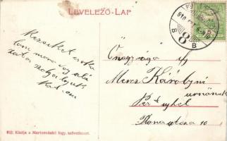 Martonvásár, Vármegyei árvaház