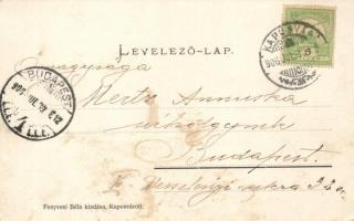 Kaposvár, Erzsébet szálloda, Erzsébet utca; Fenyvesi Béla kiadása