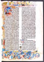 A Nekcsei-Biblia legszebb lapjai. A bevezetőt Dana J. Pratt, a képmagyarázatokat Levárdy Ferenc írta...