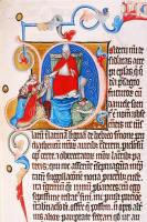 A Nekcsei-Biblia legszebb lapjai. A bevezetőt Dana J. Pratt, a képmagyarázatokat Levárdy Ferenc írta...