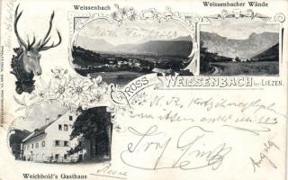 Weissenbach bei Liezen, Weichbold's Gathaus, floral