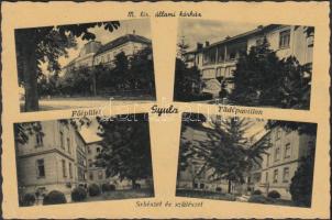 Gyula, Állami kórház, Főépület, Tüdőpavilon,  Sebészet és szülészet (EK)