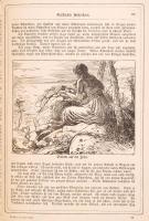 Dalziel's illustrierte Tausend und Eine Nacht. Sammlung persischer, indischer und arabischer Má...