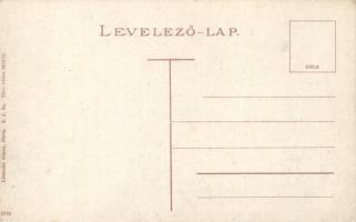 Illava, Piactér; Littmann Simon kiadása / market place