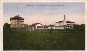Pragersko, Pragerhof; terracotta factory of Franz Steinklauber (EK)