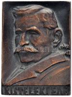 Csúcs Ferenc (1905-1999) 1947? "Kisteleki Ede" író, költő Br emlékérem, peremén "3" sorszámmal (182g/78x58mm) T:1 Hungary 1947?. "Ede Kisteleki" poet commemorative Br medallion with "3" serial number. Sign: Ferenc Csúcs (182g/78x58mm) C:UNC