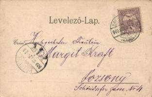 Karánsebes, izraelita templom, Radetzky utca; Perlfraser H. és fia kiadása / synagogue, floral (EK)