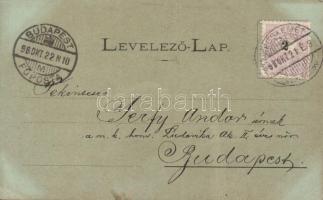 1898 Kecskemét, zsinagóga, floral (fa)