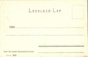 Kolozsvár, Ferenc József út, izraelita templom; Lepage Lajos kiadása / synagogue (EK)