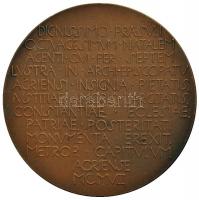 Beck Ötvös Fülöp (1873-1945) 1908. "Samassa József egri érsek" Br emlékérem. "IOSEPHV...