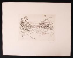 Kurt Walther Kabisch: Bodensee. Zehn Original Radierungen. 10 db rézkar, papír, jelzett, 25×16 cm