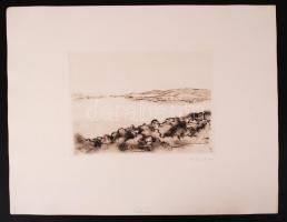 Kurt Walther Kabisch: Bodensee. Zehn Original Radierungen. 10 db rézkar, papír, jelzett, 25×16 cm