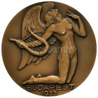 Reményi József (1887-1977) 1933. "Liszt Ferenc" Br emlékérem. "ZONGORAMŰVÉSZEK. NEMZE...