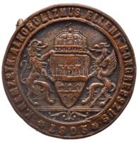 1905. "X. Nemzetközi Alkoholizmus Elleni Kongresszus * 1905 *" kitűző, hátlapján "MORZSÁNYI J. BUDAPEST" jelzéssel (25.4mm) T:2,2- Hungary 1905. "10th International Congress Against Alcoholism" badge with makers mark (25.4mm) C:aXF