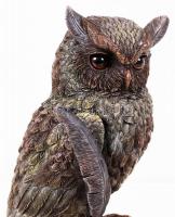 Veronese jelzéssel, könyveken ülő bagoly, festett műgyanta?, hibátlan, m:22 cm