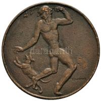 Reményi József (1887-1977) 1923. "Baum Karcsi" Br emlékérem. "BAUM. KARCSI. 3 ÉVES. KORÁBAN. 1923 * / REMÉNYI" (60.2g/51.5mm) T:2 Hungary 1923. "Karcsi Baum" commemorative Br medallion. Sign: József Reményi (60.2g/51.5mm) C:XF HP 4287.