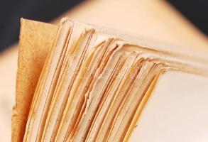 1906-1911 Bp., A Magyar Nemzeti Múzeum néprajzi osztályának értesítője. Az Etnographia melléklete. S...