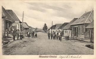 Bikszád, Sepsibükszád, Bicsadul-Oltului; Iluiu Dávid vendégfogadója / hotel restaurant (Rb)